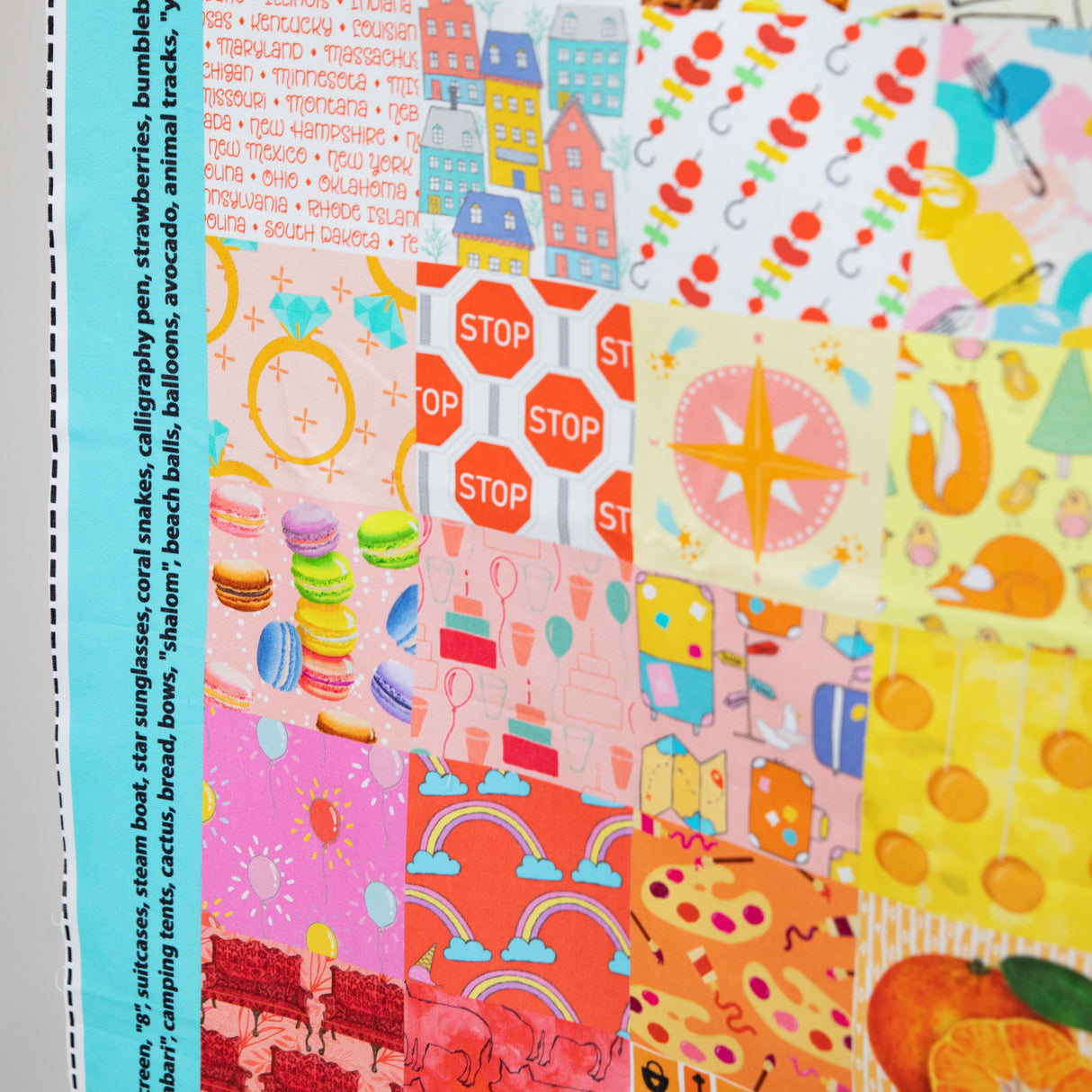 Cotton Hidden Pictures Panel Quilt Kit