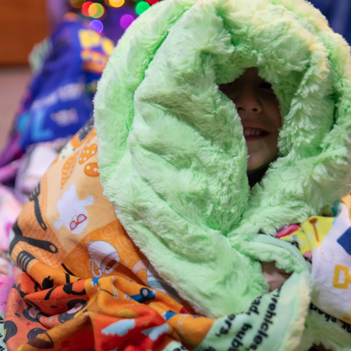 ABC Hidden Pictures Minky Quilt Panel