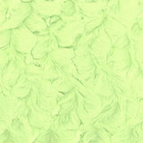 1 yard de Minky Bella Snuggle citron vert