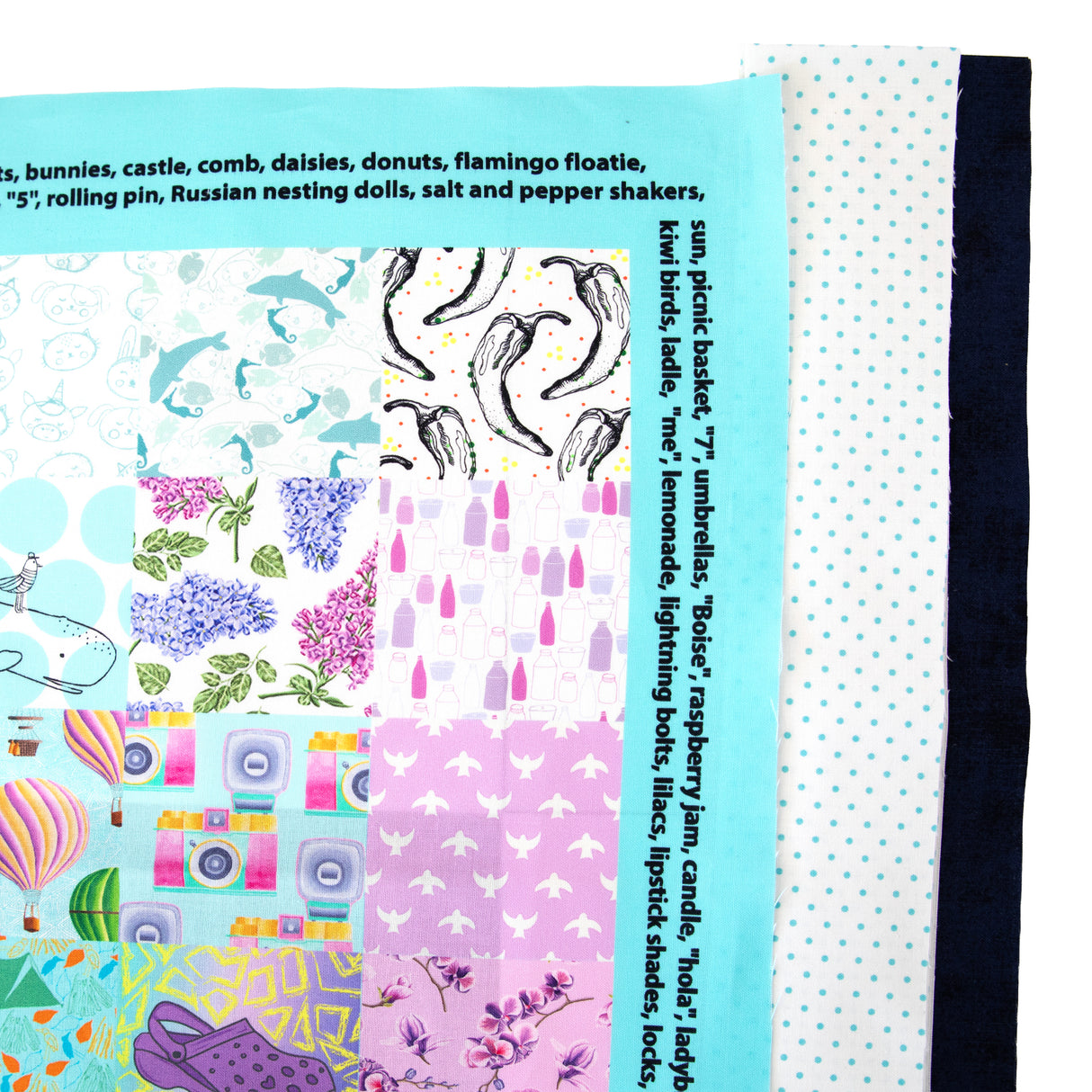 Cotton Hidden Pictures Panel Quilt Kit