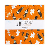 Frank and Friends 10 Inch Stacker precut quilt fabric by My Mind's Eye for Riley Blake Designs