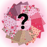 Mystery 5" Charm Pack