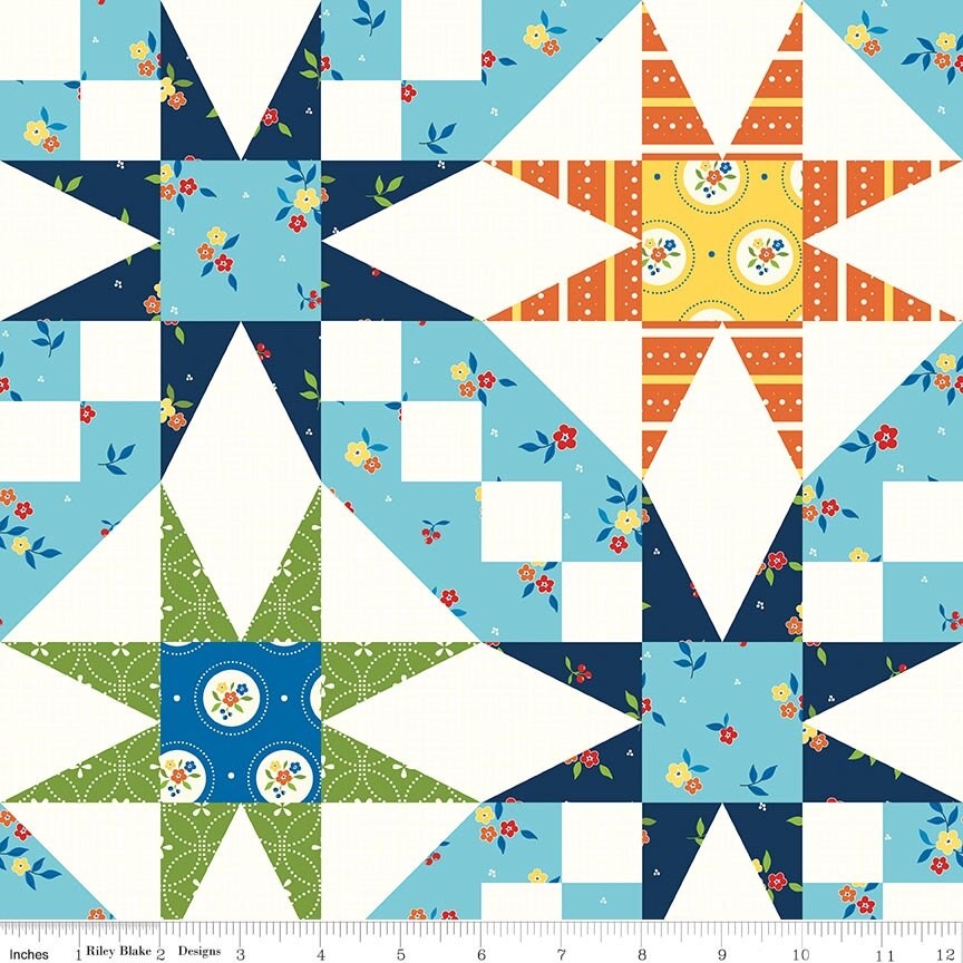 Summer's in Town Cheater Print Multi quilting cotton by Sandy Gervais for Riley Blake Designs